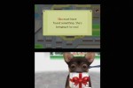 Nintendogs: Dachshund and Friends (DS)