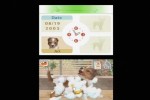 Nintendogs: Dachshund and Friends (DS)