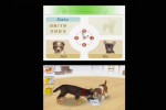 Nintendogs: Dachshund and Friends (DS)