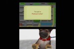 Nintendogs: Dachshund and Friends (DS)