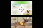 Nintendogs: Dachshund and Friends (DS)