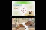 Nintendogs: Dachshund and Friends (DS)