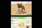 Nintendogs: Dachshund and Friends (DS)