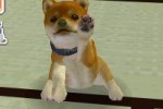 Nintendogs: Dachshund and Friends (DS)