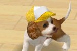 Nintendogs: Dachshund and Friends (DS)