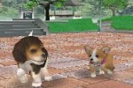 Nintendogs: Dachshund and Friends (DS)