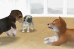 Nintendogs: Dachshund and Friends (DS)