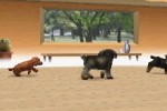 Nintendogs: Dachshund and Friends (DS)