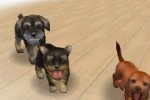 Nintendogs: Dachshund and Friends (DS)