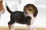 Nintendogs: Dachshund and Friends (DS)