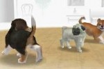 Nintendogs: Dachshund and Friends (DS)