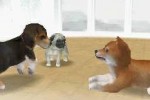 Nintendogs: Dachshund and Friends (DS)