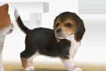 Nintendogs: Dachshund and Friends (DS)