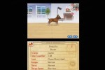 Nintendogs: Chihuahua and Friends (DS)