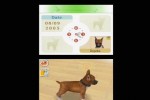 Nintendogs: Chihuahua and Friends (DS)