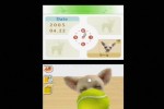 Nintendogs: Chihuahua and Friends (DS)