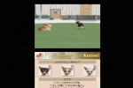 Nintendogs: Chihuahua and Friends (DS)