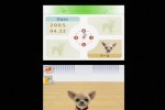 Nintendogs: Chihuahua and Friends (DS)