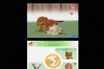 Nintendogs: Chihuahua and Friends (DS)