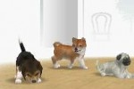 Nintendogs: Chihuahua and Friends (DS)