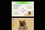 Nintendogs: Labrador and Friends (DS)