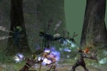 Dungeon Siege II (PC)