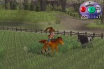 Harvest Moon: Another Wonderful Life (GameCube)