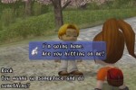 Harvest Moon: Another Wonderful Life (GameCube)