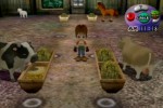 Harvest Moon: Another Wonderful Life (GameCube)