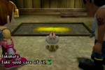 Harvest Moon: Another Wonderful Life (GameCube)