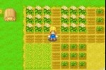 Harvest Moon: More Friends of Mineral Town (Game Boy Advance)