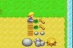 Harvest Moon: More Friends of Mineral Town (Game Boy Advance)