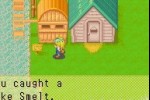 Harvest Moon: More Friends of Mineral Town (Game Boy Advance)