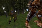 Asheron's Call: Throne of Destiny (PC)