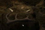 Echo: Secrets of the Lost Cavern (PC)