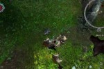 The Bard's Tale (PC)