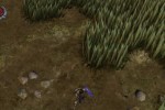 The Bard's Tale (PC)