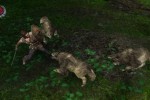 The Bard's Tale (PC)