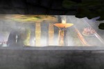 RollerCoaster Tycoon 3: Soaked! (PC)