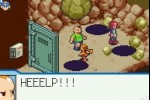 Mega Man Battle Network 5: Team Colonel (Game Boy Advance)