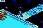 Mega Man Battle Network 5: Team Colonel (Game Boy Advance)