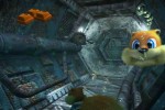 Conker: Live & Reloaded (Xbox)