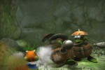 Conker: Live & Reloaded (Xbox)