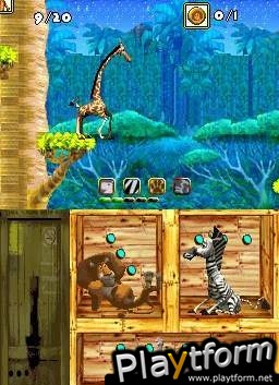 Madagascar (DS)