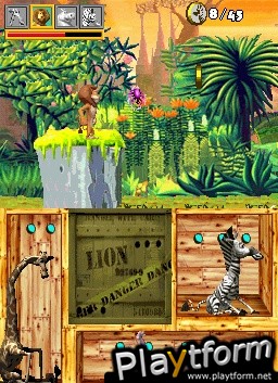 Madagascar (DS)