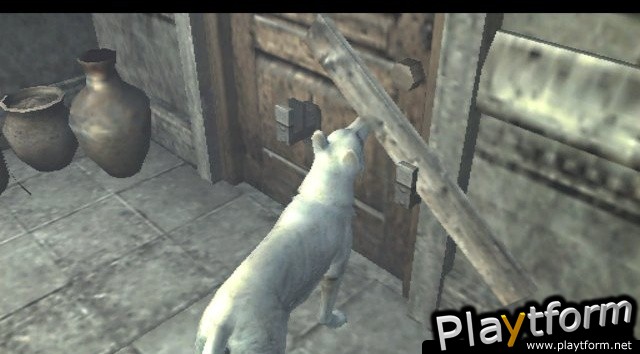 Haunting Ground (PlayStation 2)