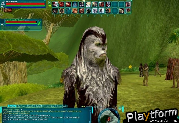 Star Wars Galaxies: Episode III Rage of the Wookiees (PC)