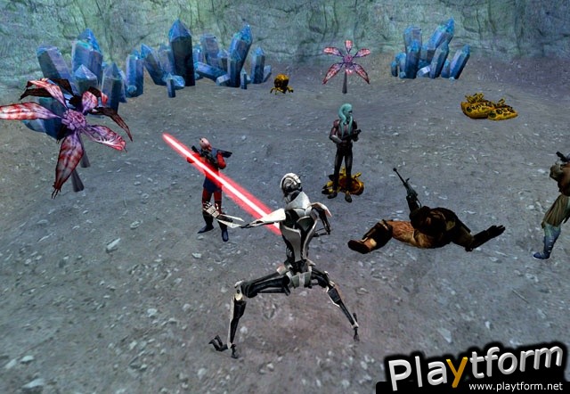 Star Wars Galaxies: Episode III Rage of the Wookiees (PC)