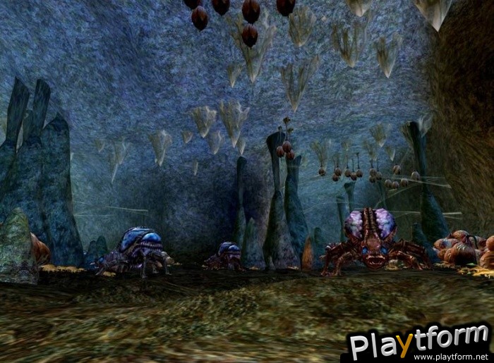 Star Wars Galaxies: Episode III Rage of the Wookiees (PC)