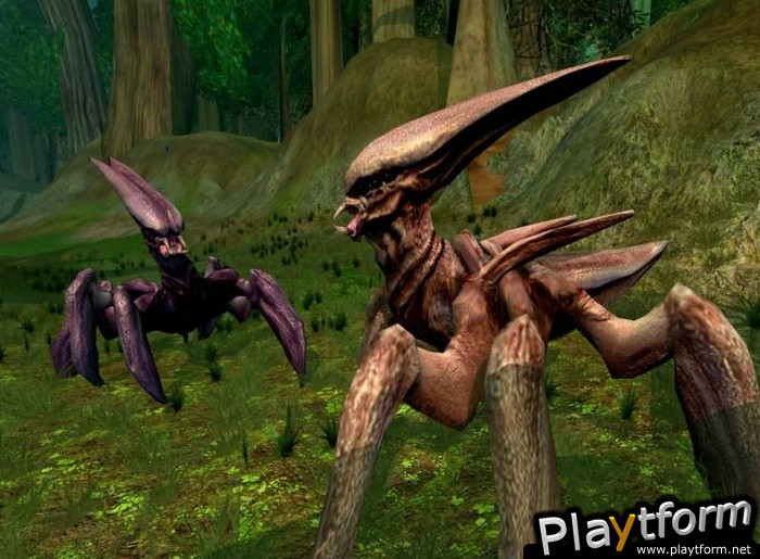 Star Wars Galaxies: Episode III Rage of the Wookiees (PC)